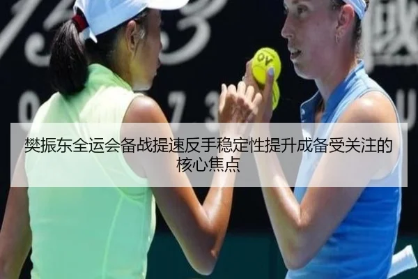 樊振东全运会备战提速反手稳定性提升成备受关注的核心焦点