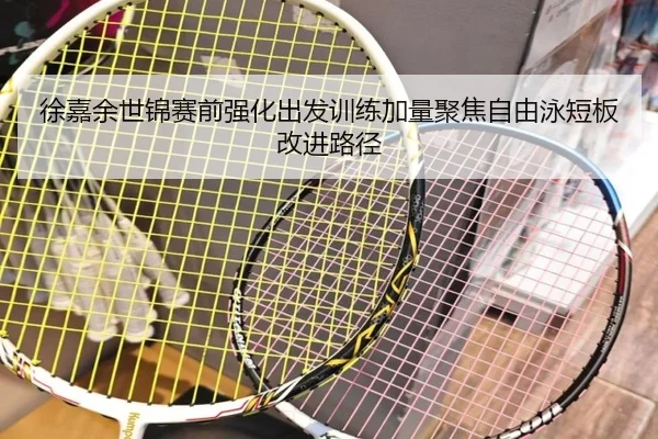 徐嘉余世锦赛前强化出发训练加量聚焦自由泳短板改进路径