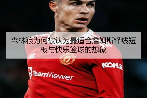 森林狼为何被认为最适合詹姆斯锋线短板与快乐篮球的想象